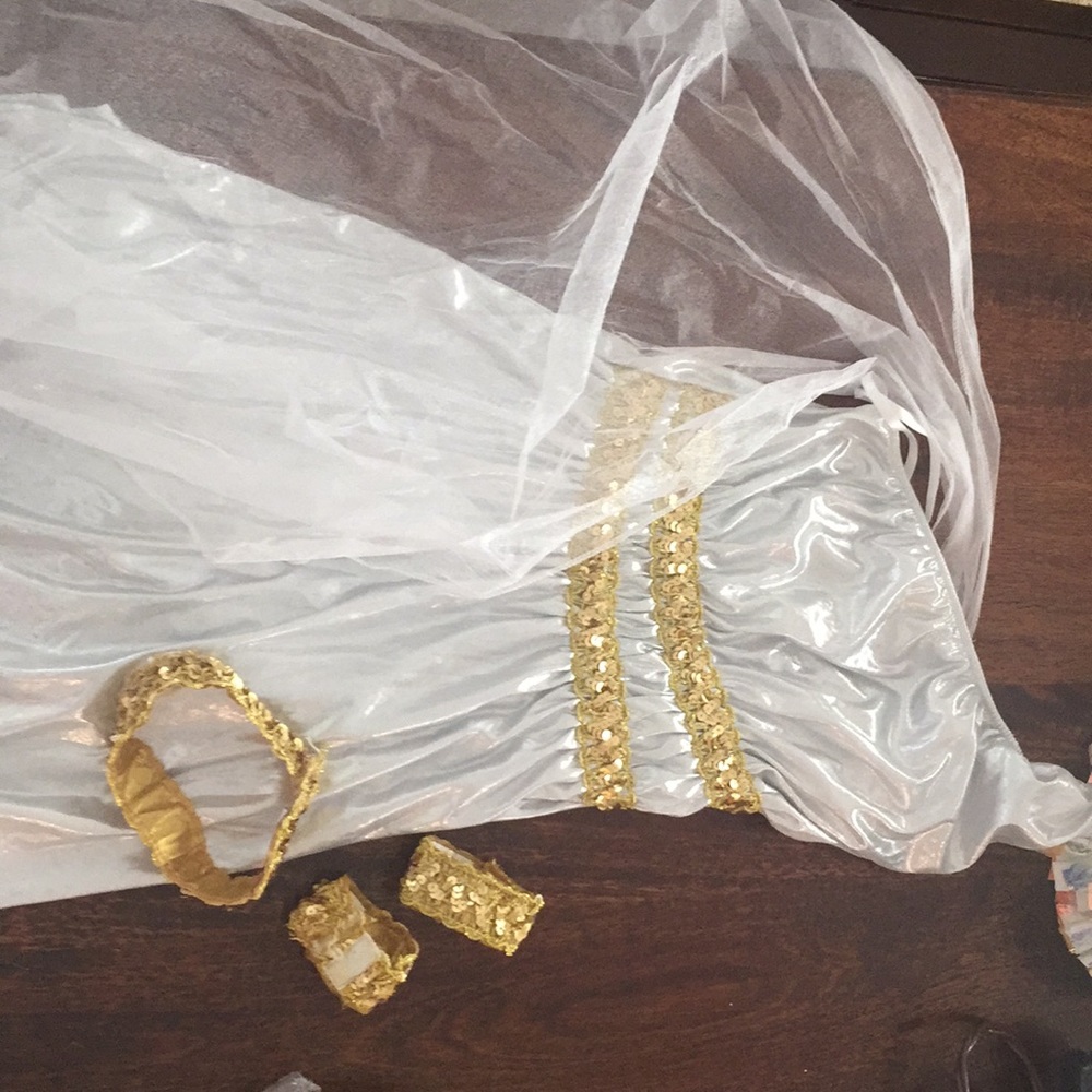 Goddess costume worn for 1 picture
